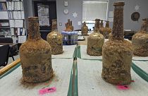Imagen de varias botellas que contienen fruta, encontradas en los trabajos que se llevan a cabo en la propiedad de Mount Vernon.