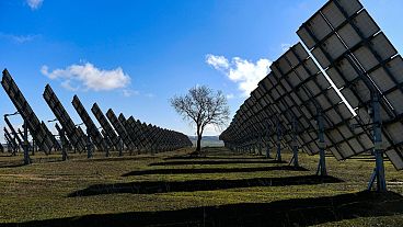 Uma árvore está rodeada de painéis solares em Los Arcos, na província de Navarra, no norte de Espanha, em fevereiro de 2023. 