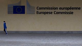 The European Commission monitors excessive budget deficits