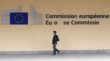 European Commission 