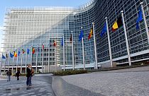 Перед зданием Еврокомиссии в Брюсселе 