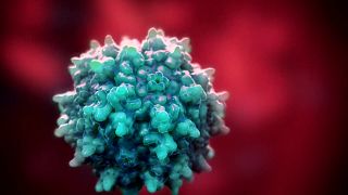 La célula azul grande es el vector que transporta la carga de ADN que codificará un fármaco que fomentará y ampliará el número de células T reguladoras.