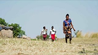 Climate crisis: Zambia responds to consequences of drought on women, girls