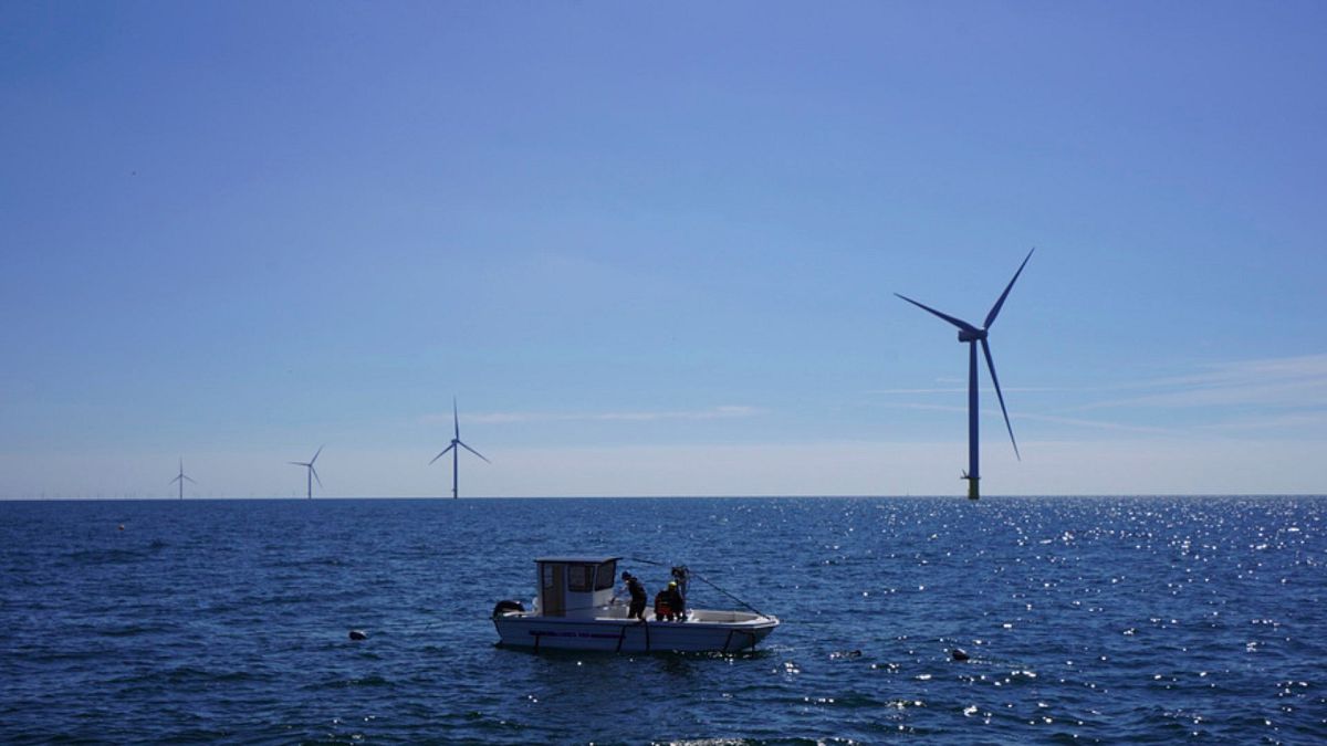From a boat, workers check seaweed and mussels crops at Kriegers Flak offshore wind farm in the Baltic Sea, Denmark.