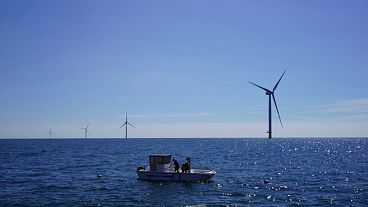 From a boat, workers check seaweed and mussels crops at Kriegers Flak offshore wind farm in the Baltic Sea, Denmark.