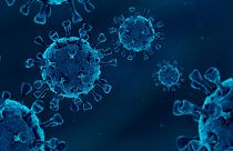 Os investigadores infectaram 36 pessoas com o vírus que causa a COVID-19 para compreender por que razão algumas pessoas parecem escapar ao vírus. A resposta estava no seu sistema imunitário. 
