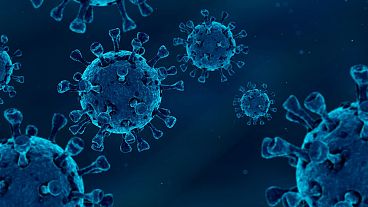 Forscher infizierten 36 Menschen mit dem Virus, das COVID-19 verursacht, um herauszufinden, warum einige Menschen dem Virus zu entkommen scheinen. Die Antwort lag in ihrem Immunsystem. 