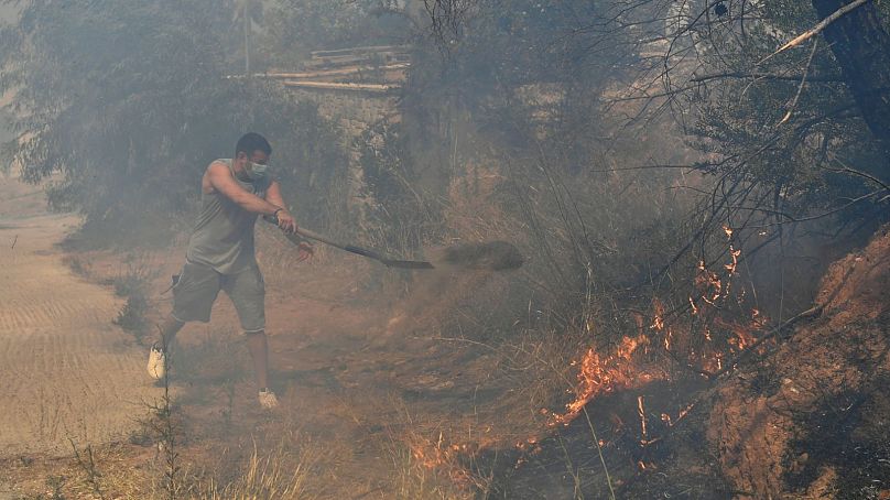 A volunteer throws dirt with a shovel on flames, in Dioni, northeast of Athens, Greece, 12 August.