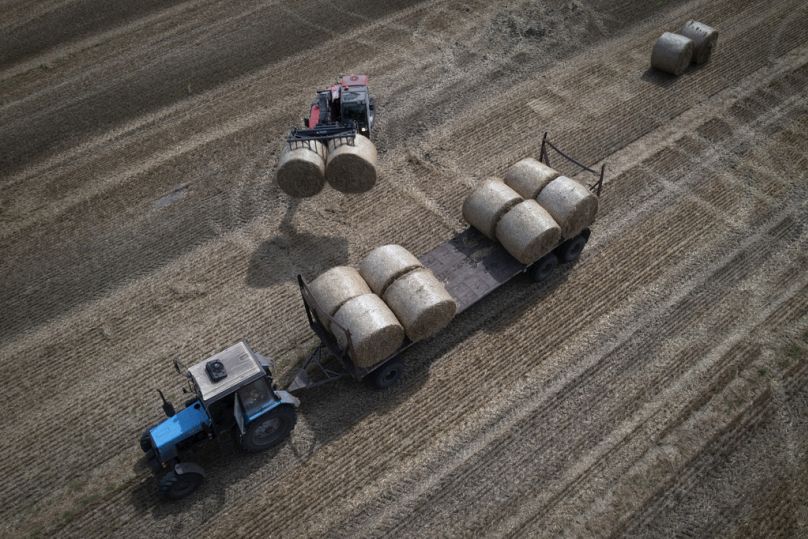 A tractor collects straw on a field in a private farm in Zhurivka, Kyiv region, August 2023