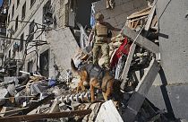 Спасатель с собакой ищет пострадавших в поврежденном жилом доме после попадания российской авиабомбы в Харькове, Украина, суббота, 22 июня 2024 года. 