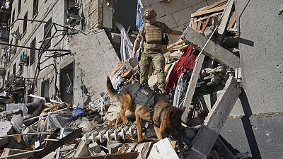 A rescue worker with a dog search for victims in a damaged apartment building after it was hit by Russian air bomb in Kharkiv, Ukraine, Saturday, June 22, 2024. 