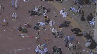 Egypt pulls licenses of travel agencies implicated in deadly hajj tours