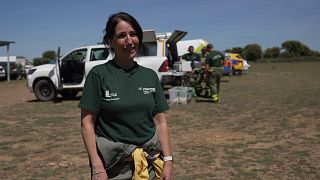 Technologische Fortschritte bei der Waldbrandbekämpfung