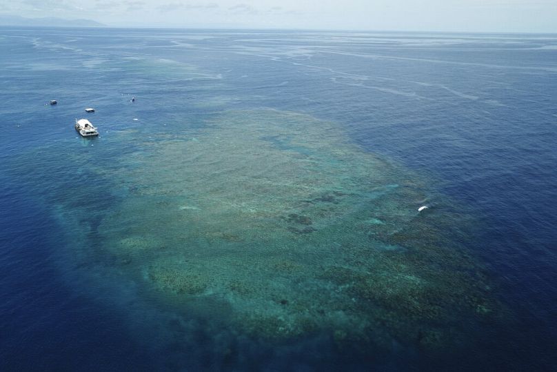 A section of the Great Barrier Reef above Moore Reef in Gunggandji Sea Country off coast of Queensland in eastern Australia.