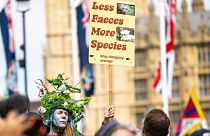 A protestor holds a placard reading 'Less faeces, more species' at the Restore Nature Now rally in London, June 2024.