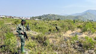 Congo: Youth fighters join forces with army to defend Sake
