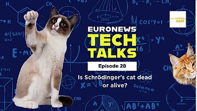 Euronews Tech Talks is the podcast that explores the digital, technological, and scientific landscape shaping Europe.