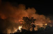 حريق على طريق ترانسبانتانيرا في الأراضي الرطبة بانتانال بالقرب من بوكوني، ولاية ماتو غروسو، البرازيل