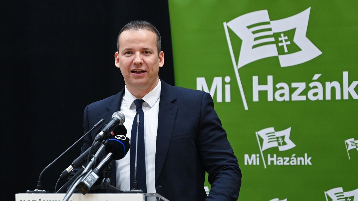 Az AfD még vizsgálja, nem túl szélsőséges partner-e nekik a Mi Hazánk
