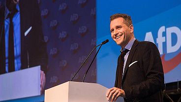 Petr Bystron, az AfD EP-képviselője