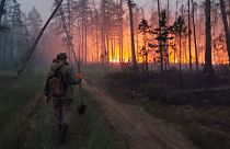 Un volontaire s'efforce d'éteindre un feu de forêt dans la république de Sakha en 2021. 