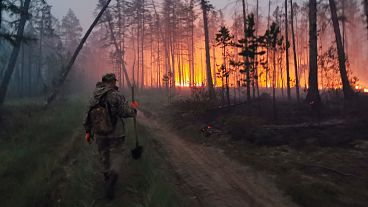 Um voluntário trabalha para apagar um incêndio florestal na República de Sakha em 2021. 