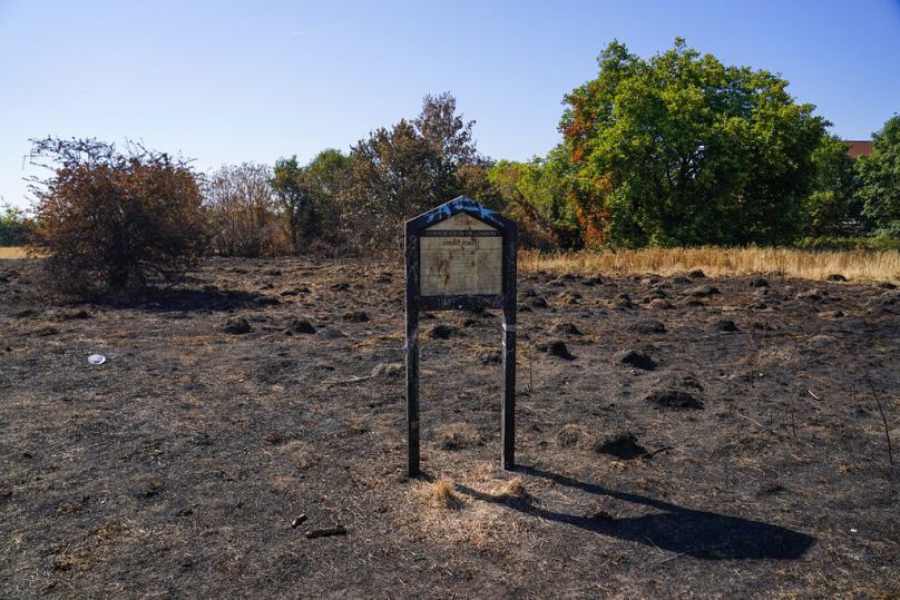 An Epping Forest sign stands on burnt ground in the Wanstead Flats after a grass fire, in London, Friday, 12 Aug, 2022. 