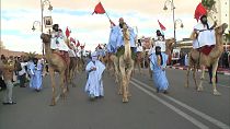  A parade of camels 