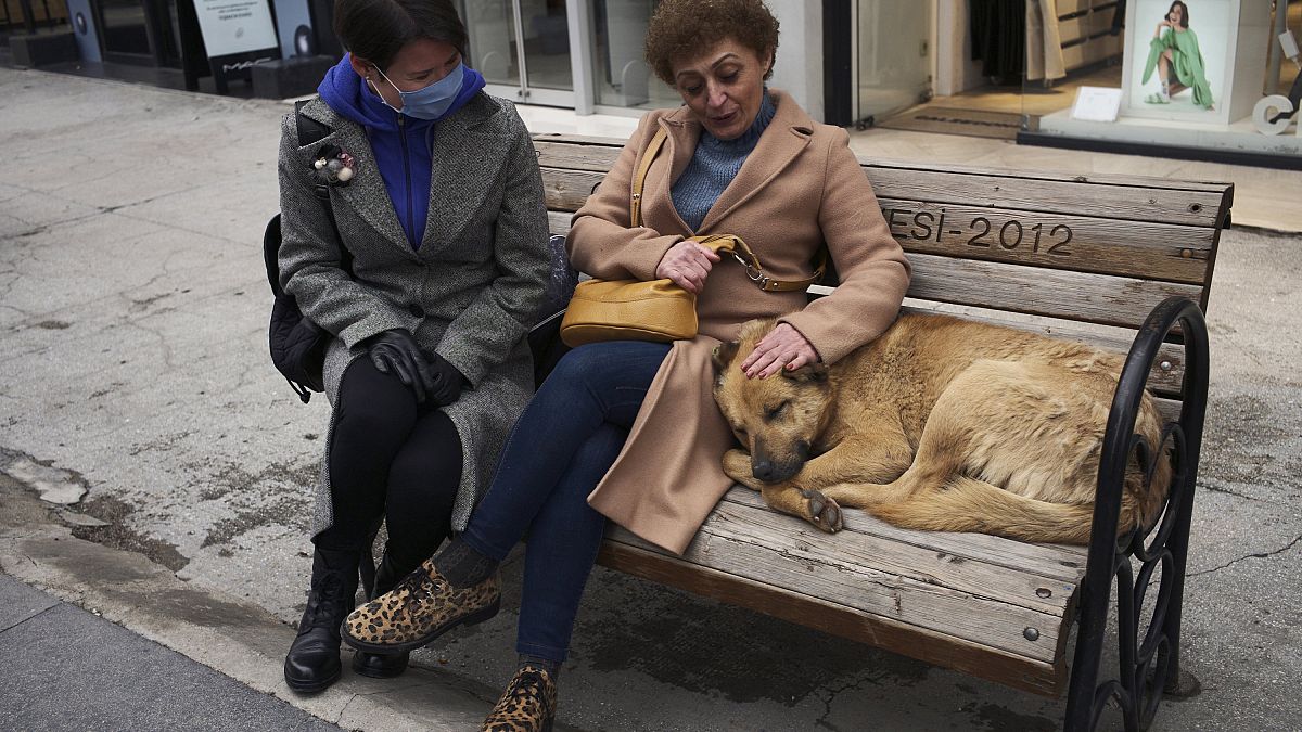İki kadın bankta sokak köpeğinin başını okşarken sohbet ediyor, Ankara, Türkiye, 2 Mart, 2022.