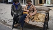 İki kadın bankta sokak köpeğinin başını okşarken sohbet ediyor, Ankara, Türkiye, 2 Mart, 2022.