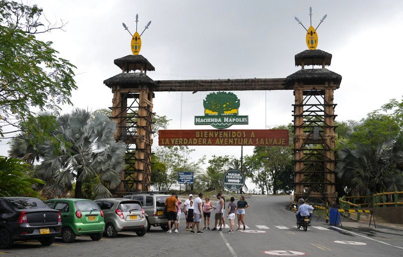 Ворота в Hacienda Napoles