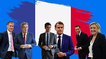 Лидеры партий, участвующих во внеочередных выборах во Франции