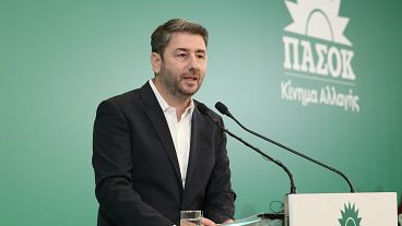 Ο πρόεδρος του ΠΑΣΟΚ-Κινήματος Αλλαγής Νίκος Ανδρουλάκης μιλάει στη συνεδρίαση της Κεντρικής Πολιτικής Επιτροπής του κόμματος,