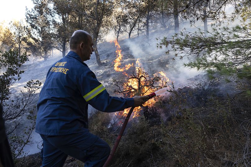 Un bombero intenta extinguir un incendio forestal en la zona de Keratea, al sureste de Atenas, Grecia, domingo 30 de junio de 2024.