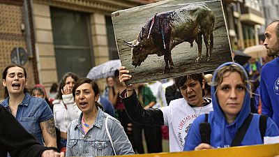 "Es ist nicht mein Haustier, es ist meine Familie" skandierten Hunderte von Demonstranten auf den Straßen von Mexiko-Stadt.