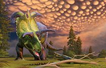 تصویر بازسازی شده از دایناسور تازه کشف‌شده