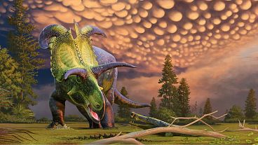تصویر بازسازی شده از دایناسور تازه کشف‌شده