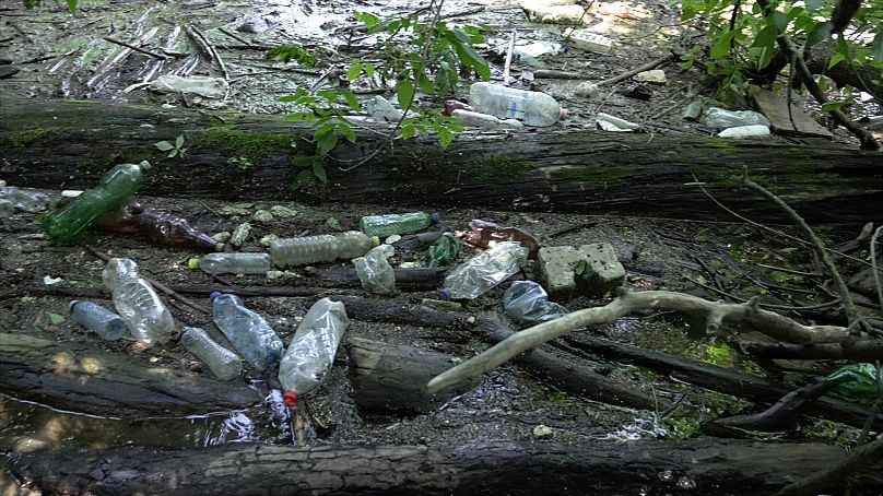 La plastica trovata nel Tibisco proviene principalmente dai paesi a monte