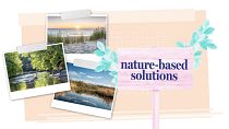 Solutions naturelles : la nature, meilleure alliée de l'eau face au réchauffement climatique