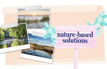 Solutions naturelles : la nature, meilleure alliée de l'eau face au réchauffement climatique
