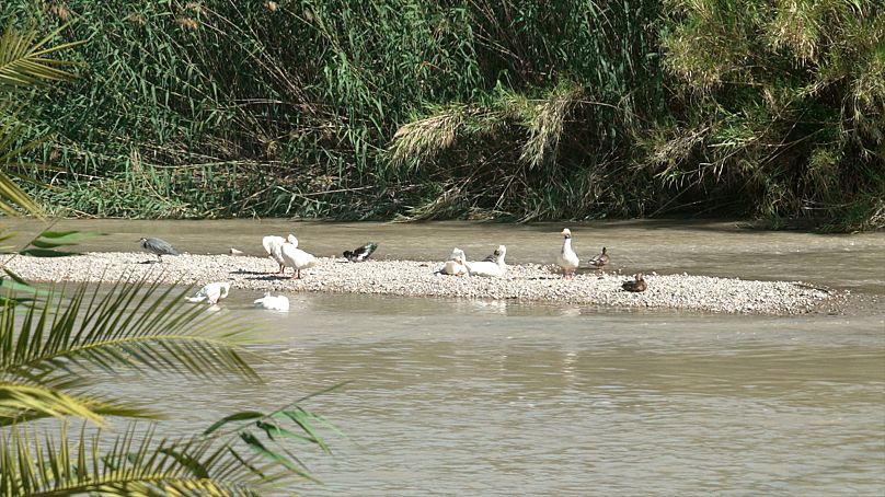 Los humedales ofrecen múltiples beneficios, como filtrar y almacenar agua, proteger de las inundaciones y capturar carbono. 