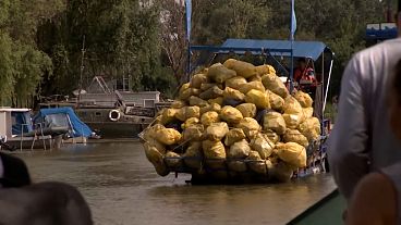 Un bateau rempli de déchets plastiques sur le Lac Tisza