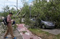 A person walks past a downed tree after a powerful storm in Montenegro's capital Podgorica  Tuesday on July 2, 2024. 