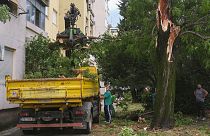 In Croazia a causa del maltempo sono caduti numerosi alberi 