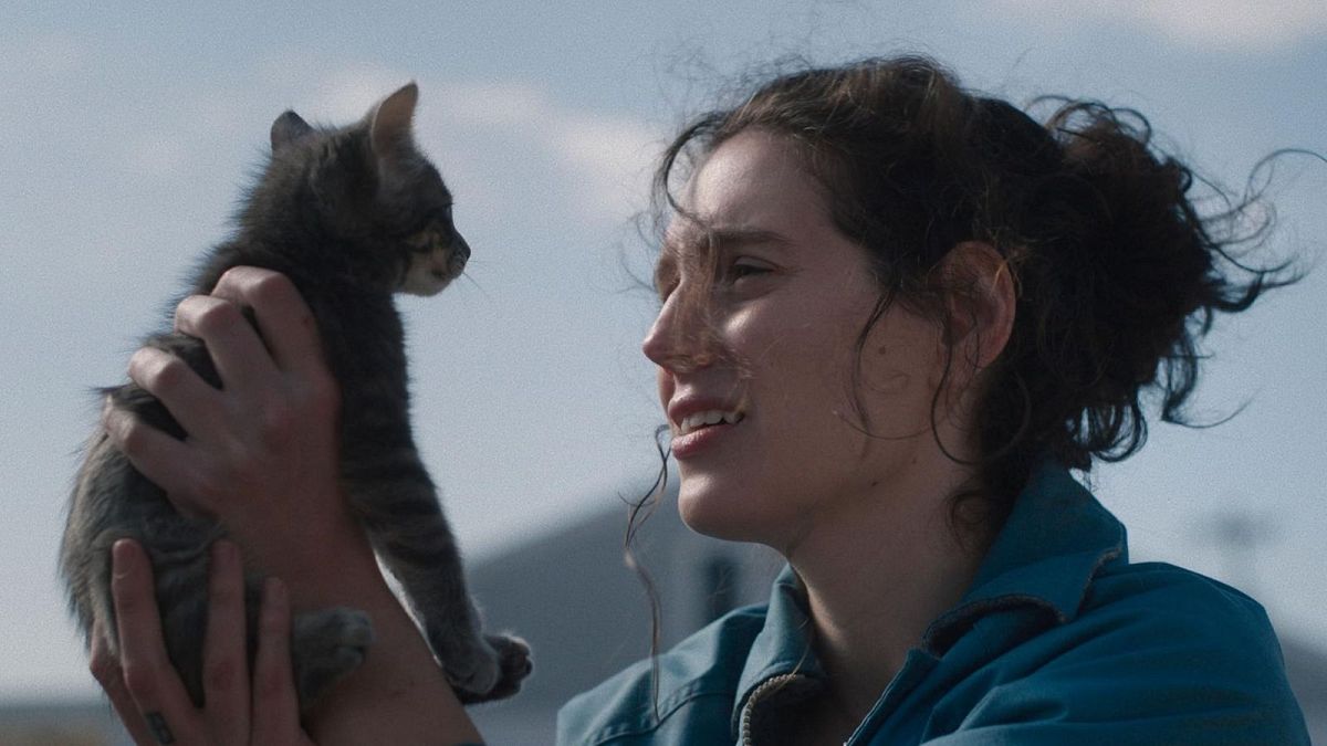 Ready furr their close-up: How cats became Hollywood's hottest stars