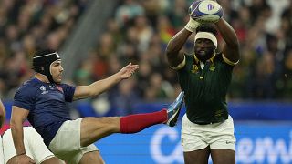 Rugby : l’Irlande se prépare à affronter les Springboks