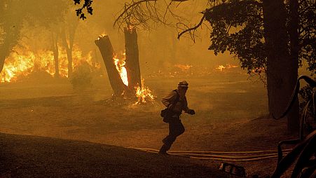 In Oroville, einer Kleinstadt in Nordkalifornien, haben Feuerwehrleute verzweifelt versucht, einen Großbrand einzudämmen. 