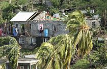 Hurrikan Beryl ist über Jamaika hinweggefegt und hat dabei starke Überschwemmungen verursacht. 