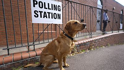 A dog sits outside a polling station in Southfields in London, Thursday, July 4, 2024.