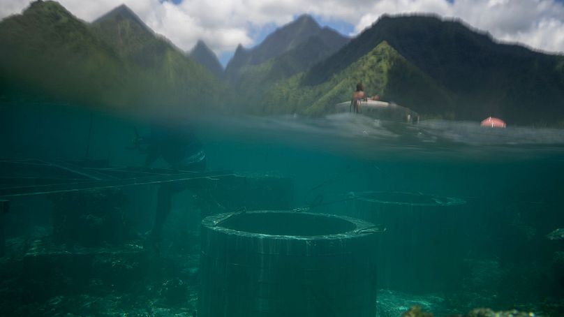 Foundations under construction on the coral reef for a tower to be used during the Paris 2024 surfing competition in Teahupo'o, Tahiti, French Polynesia. 